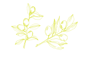 olio aromatizzato
